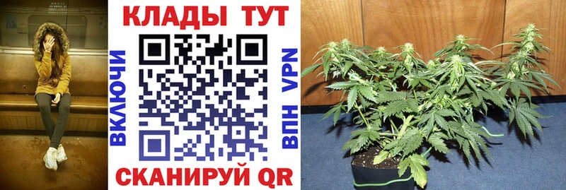 Купить закладку Канабис  Cocaine  APVP  Меф  Гашиш  Богородск
