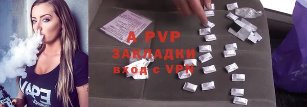 прущие грибы Краснослободск