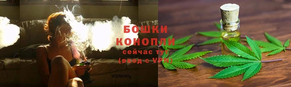 первитин Коряжма