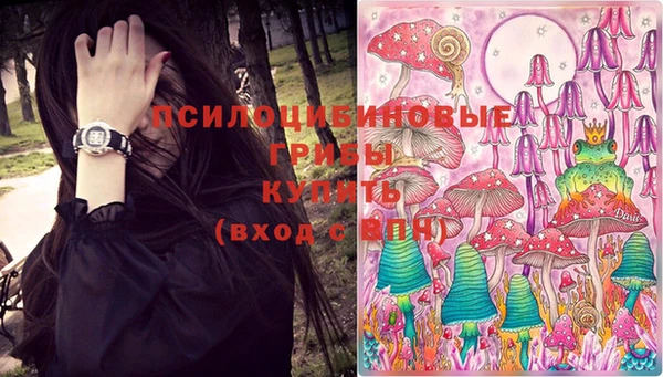 ECSTASY Корсаков