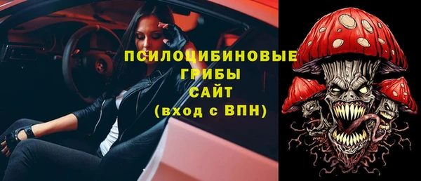 первитин Коряжма