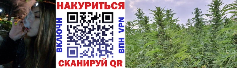 Каннабис индика  Купить закладки  Богородск 